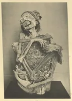 An illustration from Galerie Americaine du Musee d’Ethnographie du Trocadero; Choix de Pieces Archeologiques et Ethnographiques (1897)