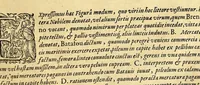 An illustration from Indiae Orientalis pars VI. Veram et historicam descriptionem auriferi regni Guineae, ad Africam pertinentis, quod alias littus de Mina vocant, : continens, qua situs loci, ratio vrbium & domorum, portus item & flumina varia, cum variis incolarum superstitionibus, educatione, forma, commerciis, linguis & moribus, succincta breuitate explicantur & percensentur. (1604)