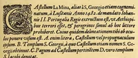 An illustration from Indiae Orientalis pars VI. Veram et historicam descriptionem auriferi regni Guineae, ad Africam pertinentis, quod alias littus de Mina vocant, : continens, qua situs loci, ratio vrbium & domorum, portus item & flumina varia, cum variis incolarum superstitionibus, educatione, forma, commerciis, linguis & moribus, succincta breuitate explicantur & percensentur. (1604)