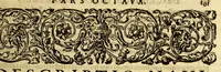 An illustration from Indiae Orientalis pars octaua: Navigationes quinque, : primam, à Iacobo Neccio, ab anno 1600. vsque ad annum 1603. Secundam, à Iohanne Hermanno de Bree, ab anno 1602. vsq[ue], ad annum 1604. Tertiam, à Cornelio Nicolai, annis quatuor. Quartam, à Cornelio de Vena, duobus annis. Quintam, sub Stephano de Hagen tribus annis, in Indiam Orientalem susceptas & peractas continens. Locorum, regnum, populorum, rituuḿque variorum descriptione, victoriarum item à Lusitanis reportatarum, & Araboinae, Tidoriśque expugnationis commemoratione addita. (1607)