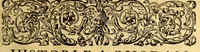 An illustration from Indiae Orientalis pars octaua: Navigationes quinque, : primam, à Iacobo Neccio, ab anno 1600. vsque ad annum 1603. Secundam, à Iohanne Hermanno de Bree, ab anno 1602. vsq[ue], ad annum 1604. Tertiam, à Cornelio Nicolai, annis quatuor. Quartam, à Cornelio de Vena, duobus annis. Quintam, sub Stephano de Hagen tribus annis, in Indiam Orientalem susceptas & peractas continens. Locorum, regnum, populorum, rituuḿque variorum descriptione, victoriarum item à Lusitanis reportatarum, & Araboinae, Tidoriśque expugnationis commemoratione addita. (1607)