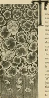 An illustration from [Indian art at Delhi, 1903. Being the official catalogue of the Delhi exhibition, 1902-1903 (1903)