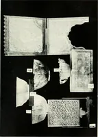 An illustration from [Indian art at Delhi, 1903. Being the official catalogue of the Delhi exhibition, 1902-1903 (1903)