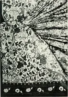 An illustration from [Indian art at Delhi, 1903. Being the official catalogue of the Delhi exhibition, 1902-1903 (1903)