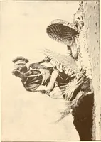 An illustration from Indian basketry, and How to make Indian and other baskets (1903)