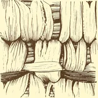 Picture 93 of 428 from Indian basketry, and How to make Indian and other baskets (1903), leaf 121
