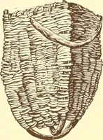 Picture 98 of 428 from Indian basketry, and How to make Indian and other baskets (1903), leaf 125