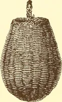 An illustration from Indian basketry, and How to make Indian and other baskets (1903)