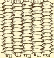 An illustration from Indian basketry, and How to make Indian and other baskets (1903)