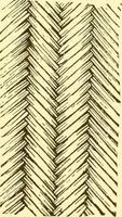 An illustration from Indian basketry, and How to make Indian and other baskets (1903)