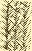 An illustration from Indian basketry, and How to make Indian and other baskets (1903)