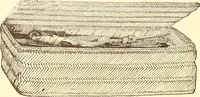 Picture 113 of 428 from Indian basketry, and How to make Indian and other baskets (1903), leaf 135