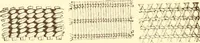 An illustration from Indian basketry, and How to make Indian and other baskets (1903)