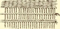 An illustration from Indian basketry, and How to make Indian and other baskets (1903)