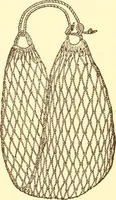 An illustration from Indian basketry, and How to make Indian and other baskets (1903)