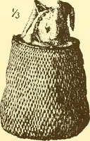 An illustration from Indian basketry, and How to make Indian and other baskets (1903)
