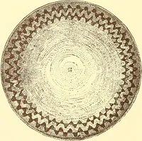 An illustration from Indian basketry, and How to make Indian and other baskets (1903)