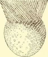 An illustration from Indian basketry, and How to make Indian and other baskets (1903)