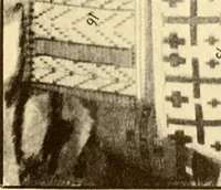 An illustration from Indian basketry, and How to make Indian and other baskets (1903)
