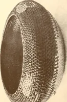 An illustration from Indian basketry, and How to make Indian and other baskets (1903)