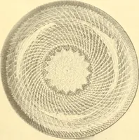 An illustration from Indian basketry, and How to make Indian and other baskets (1903)