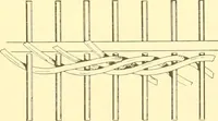 An illustration from Indian basketry, and How to make Indian and other baskets (1903)