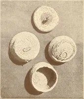 An illustration from Indian basketry, and How to make Indian and other baskets (1903)