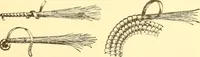 An illustration from Indian basketry, and How to make Indian and other baskets (1903)