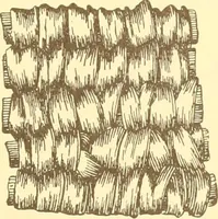 An illustration from Indian basketry, and How to make Indian and other baskets (1903)