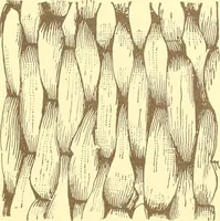 An illustration from Indian basketry, and How to make Indian and other baskets (1903)