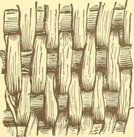 An illustration from Indian basketry, and How to make Indian and other baskets (1903)