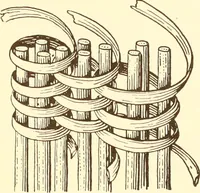 An illustration from Indian basketry, and How to make Indian and other baskets (1903)