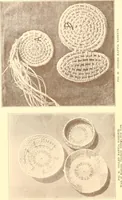 An illustration from Indian basketry, and How to make Indian and other baskets (1903)