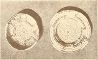An illustration from Indian basketry, and How to make Indian and other baskets (1903)