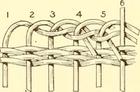 An illustration from Indian basketry, and How to make Indian and other baskets (1903)