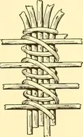 An illustration from Indian basketry, and How to make Indian and other baskets (1903)