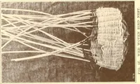 Picture 365 of 428 from Indian basketry, and How to make Indian and other baskets (1903), leaf 373