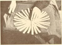 Picture 370 of 428 from Indian basketry, and How to make Indian and other baskets (1903), leaf 379