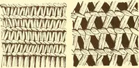 An illustration from Indian basketry, and How to make Indian and other baskets (1903)