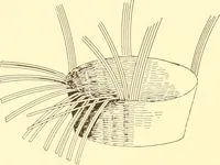An illustration from Indian basketry, and How to make Indian and other baskets (1903)