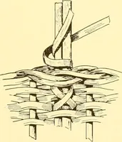 An illustration from Indian basketry, and How to make Indian and other baskets (1903)
