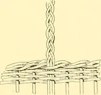 An illustration from Indian basketry, and How to make Indian and other baskets (1903)