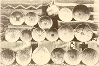 An illustration from Indian basketry, and How to make Indian and other baskets (1903)