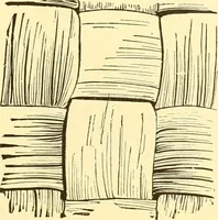 An illustration from Indian basketry, and How to make Indian and other baskets (1903)