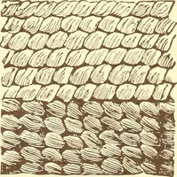 An illustration from Indian basketry, and How to make Indian and other baskets (1903)