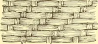 An illustration from Indian basketry, and How to make Indian and other baskets (1903)