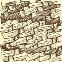 An illustration from Indian basketry, and How to make Indian and other baskets (1903)