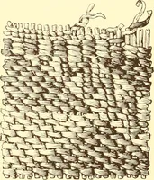 An illustration from Indian basketry, and How to make Indian and other baskets (1903)