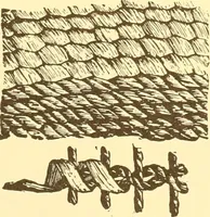 An illustration from Indian basketry, and How to make Indian and other baskets (1903)