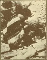 An illustration from Indian basketry, and How to make Indian and other baskets (1903)